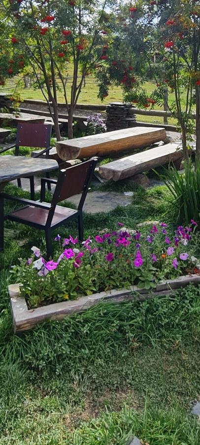 Guest House Shina Omalo Εξωτερικό φωτογραφία